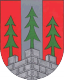 TSV ASKÖ Waldegg